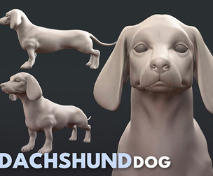 Dachshund Dog - Topology + UV Map