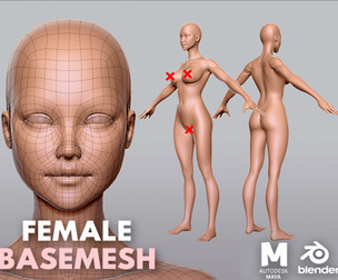 Female BaseMesh Anatomy - Topology + UV Map
