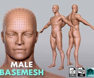 BaseMesh Male - Topology + UV Map