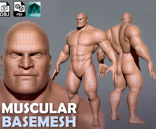 Muscular Male BaseMesh
