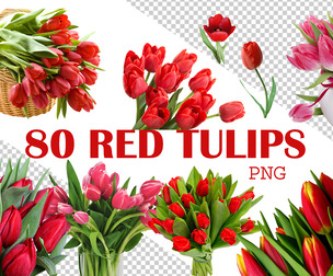 80 Red Tulip Flowers Clipart, spring bouquet