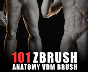 101 Anatomy VDM Brush - Body Parts and Muscles