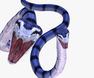 DOWNLOAD ANACONDA 3D MODEL