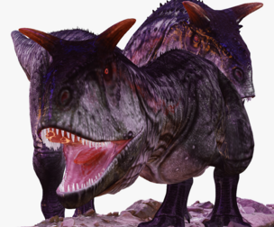 Carnotaurus DINOSAUR