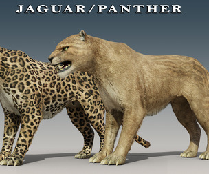 Jaguar and Panther Rigged