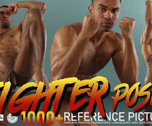 Fighter Poses 1000+ Reference Pictures