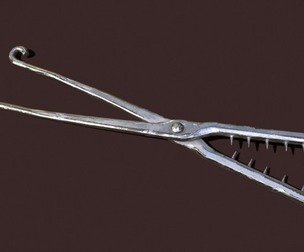 Crocodile Shears