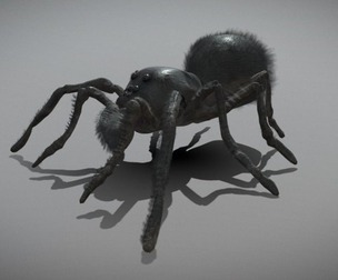 Black Spider