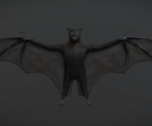 Black Bat