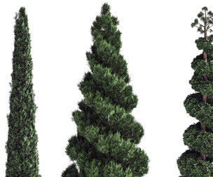 pine tree set 02