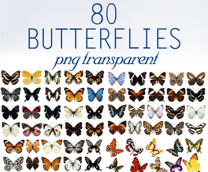 80 Butterflie PNG , Insects, Butterfly Clip Art