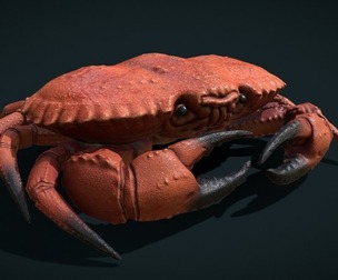Red Crab