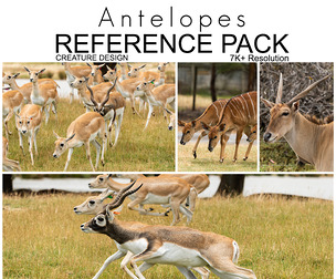 Ref Pack - Antelopes