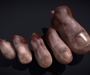 Severed Toes