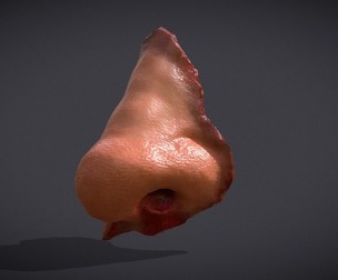 Severed Nose