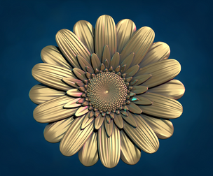 Daisy Flower