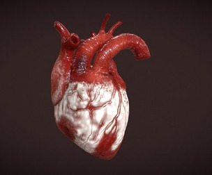 Heart