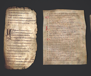 Scrolls and Pages