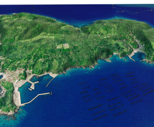 Tashirojima Island 3d Model Terrain