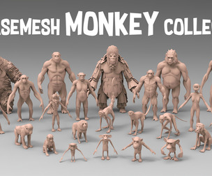 25 Basemesh monkey collection