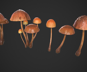 Generic Mushrooms