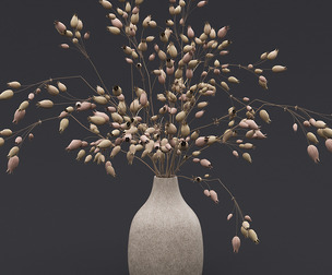 Dried Grass Flowers I