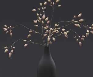 Dried Grass Flowers II