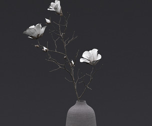 Dry Flowers in Vase I