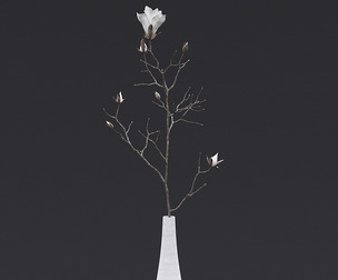 Dry Flowers in Vase II