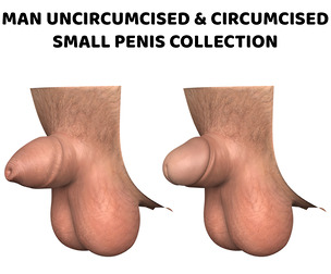 Realistic Man Small Penis Collection