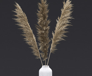 Pampas Grass I