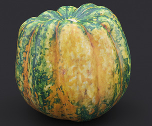 Pumpkin