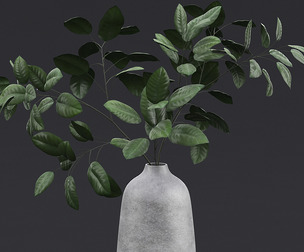 Tree Branch in Vase I