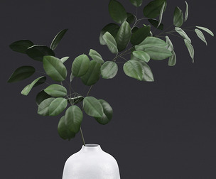 Tree Branch in Vase II