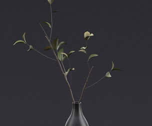 Tree Branch in Vase IV