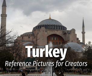 Turkey - Reference Pictures