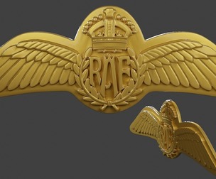 WW2 British Royal Air Force Wings I