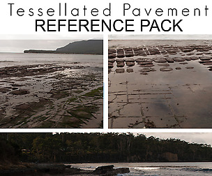 Free Ref Pack - Tessellated Pavement