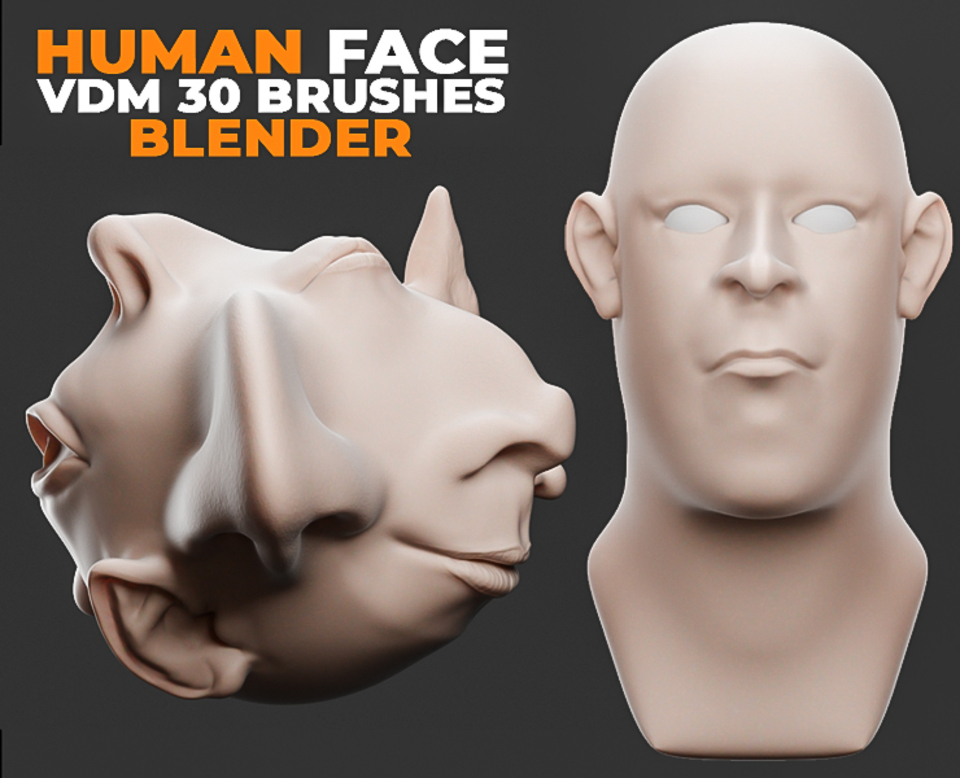 Human Face Vdm Brushes For Blender