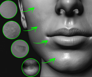 Human Skin Brushes for ZBrush (57 VDM)