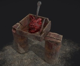 Severed Pigs Head