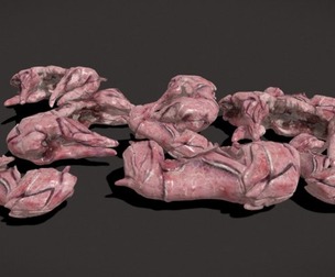 Skinned Rabbit
