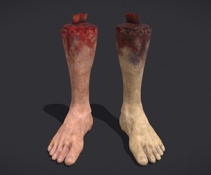 Severed Leg