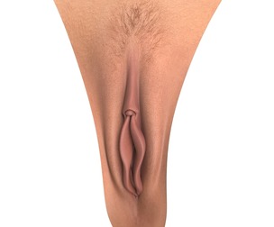 Realistic Female Vagina