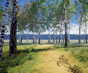 Birch Tree Grove - low poly