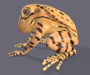 Yellow Frog
