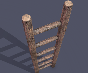 Muddy Ladder
