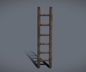 Ladder muddy