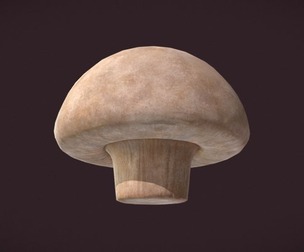 Mushroom