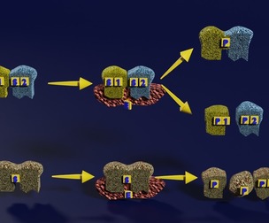 3D enzyme substrate reaction product